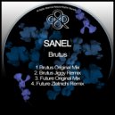 Sanel - Future