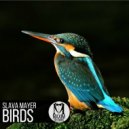 Slava Mayer - Bird`s