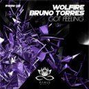 Wolfire & Bruno Torres - Got Feeling