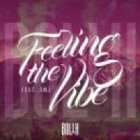 Bolth feat. Amj - Feeling the Vibe