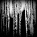 HL - Silent Tears