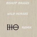 Bishop Briggs - Wild Horses (Etto Remix)