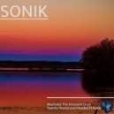 Sonik - Twenty Years