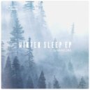 Vancore - Winter Sleep (Original Mix)