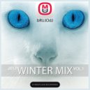 bRUJOdJ - Winter Mix Vol.1