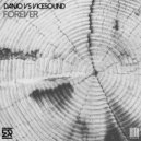 DANJO & ViceSound - Forever