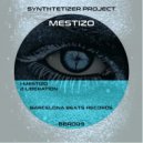 Synthtetizer Project - Mestizo