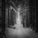 Lion Forest - Snow Crunching (Original mix)