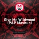 Jayden Jaxx vs. Fedde le Grand - Give Me Wildwood (P&P Mashup) (Mashup)