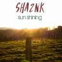 SHA2NK - Feelings