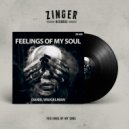 Daniil Waigelman - Feelings Of My Soul