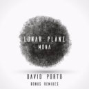 Lunar Plane - Mona