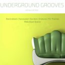 FO. Thomas - This Is My House (Original Mix)