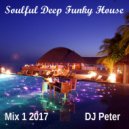 DJ Peter - Soulful Deep Funky House - Mix 1 2017 (Original Mix)