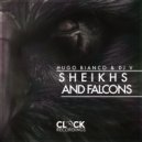 Hugo Bianco & DJ V - Sheihks and Falcons