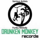 Destroy - Funky Melody