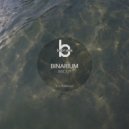 Binarium - Moon Psyque