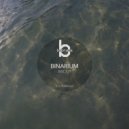 Binarium - Moon Psyque (Original Mix)