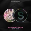 Defendess - Blooming Prism