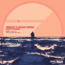 Crowley & Galina Shkoda - Mystic Stranger (Zero Type Electro-House Remix)