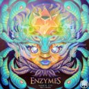 Enzymes & Twiggie Smallz - Mind, Body & Soul