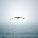 KastomariN - Flying