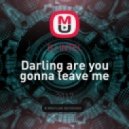 DJ iNTEL - Darling are you gonna leave me
