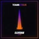 Tchami feat. Stacy Barthe - Afterlife