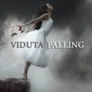 Viduta - Falling (Original Mix)