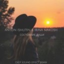 Anton Ishutin ft. Irina Makosh - Состояние души (Deep Sound Effect remix)