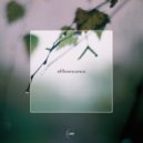 Bloom - Efflorescence