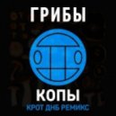 Грибы - Копы (Krot DnB Remix)