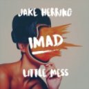Jake Herring - Little Mess