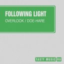 Following Light - Overlook ()