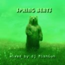 mixed by dj MishGun - Spring Beats