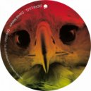 Daniel Mehes - Direction (Gforty Remix)
