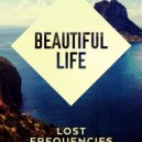Lost Frequencies feat Sandro Cavazza - Beautiful Life
