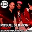 Pitbull feat. Lil Jon - Krazy (Ilya Calvados Remix)