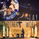 T.A.Y. - another world
