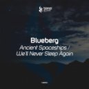 Blueberg - We'll Never Sleep Again