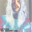 Livigesh - Little by Little
