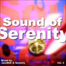 Jazzx - Sound of Serenity Vol. 2