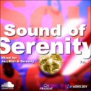 Jazzx - Sound of Serenity Vol. 5