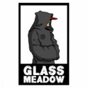 Glass Meadow - Guide Dog