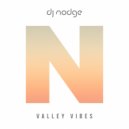 DJ Nodge - Valley Vibes