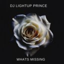 DjLightup Prince & Karma - Whats Missing (feat. Karma)
