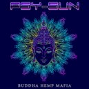 Psy-Sun - O Mundo sem Ninguem (Analogic-Culture)