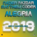 Nader Razdar & Matthew Codek - Alegria (Nico Zandolino Remix)