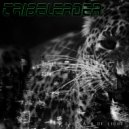 Tribeleader - Search