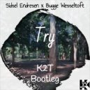 Sidsel Endresen & Bugge Wesseltoft - Try
